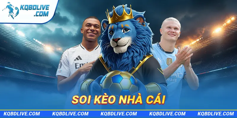 Ảnh đại diện soi kèo nhà cái